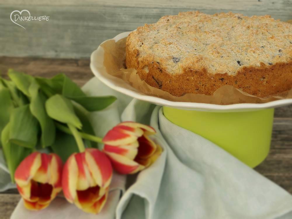 Kokos-Schoko-Eiweißkuchen