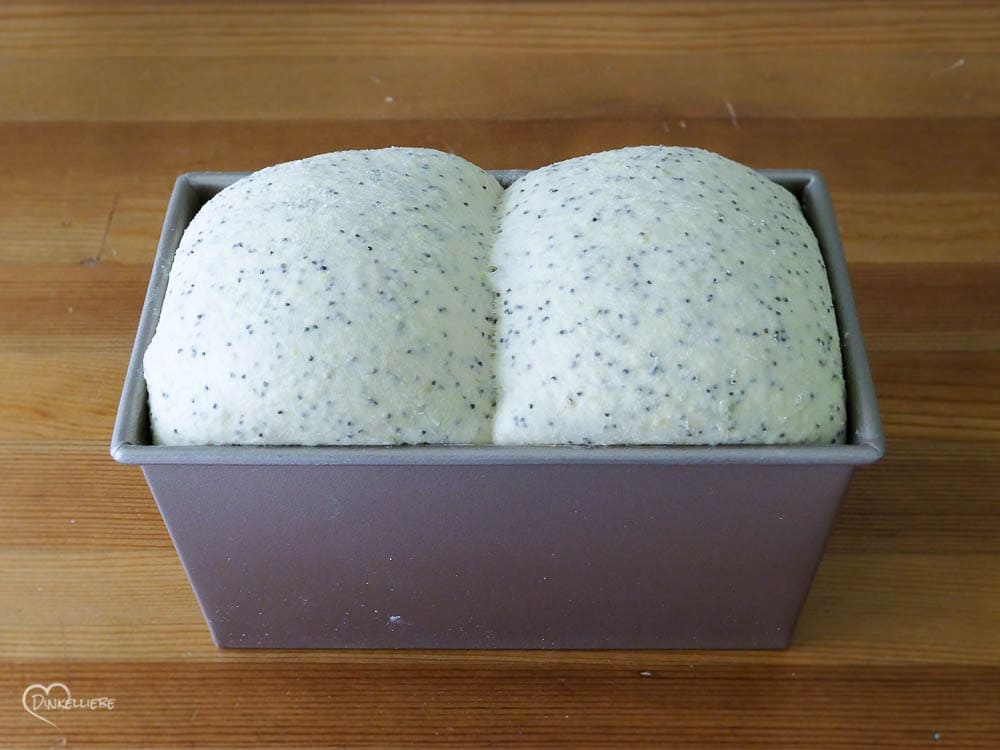 No Knead Limetten und Mohn Sandwichbrot Teigbearbeitung