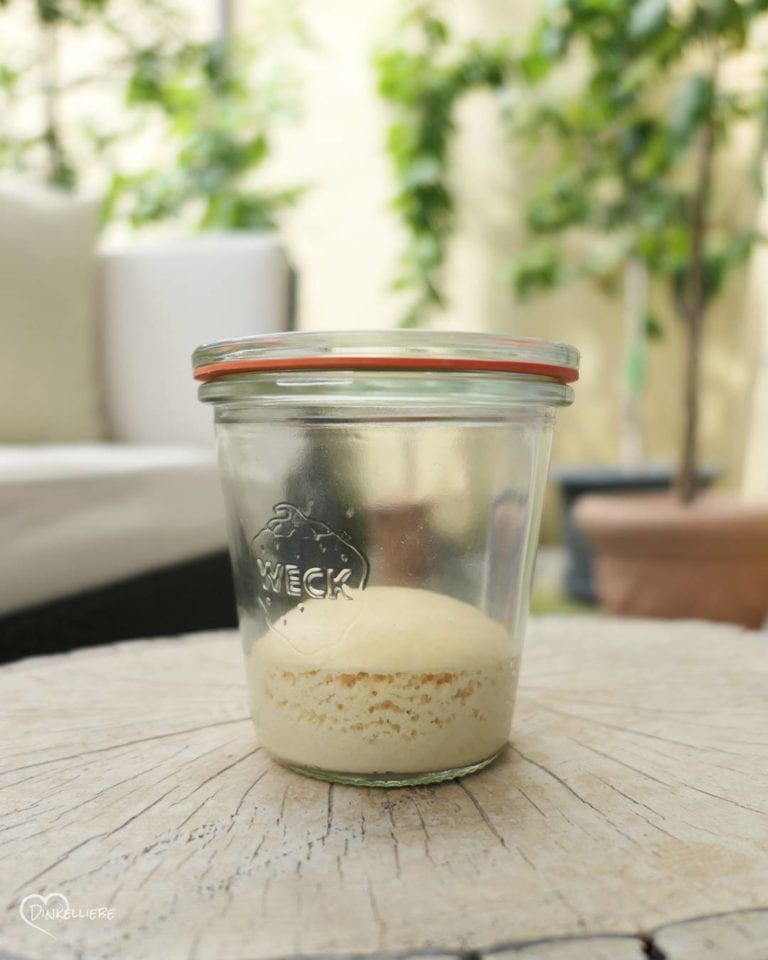 Pasta Madre Lievito Madre in nur 5 Tagen selbst ziehen