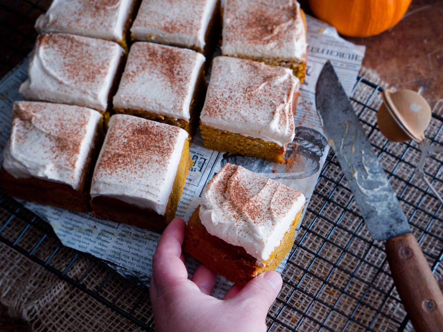 Pumpkin Dream Cake - traumhafter Dinkel Kürbiskuchen
