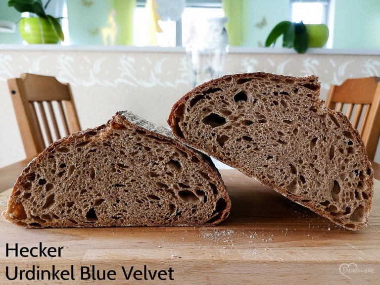 Test Hecker Urdinkel Blue Velvet