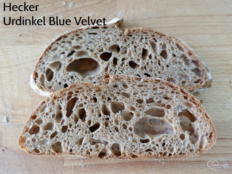 Test Hecker Urdinkel Blue Velvet