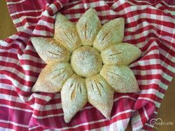 3. Brötchenblume